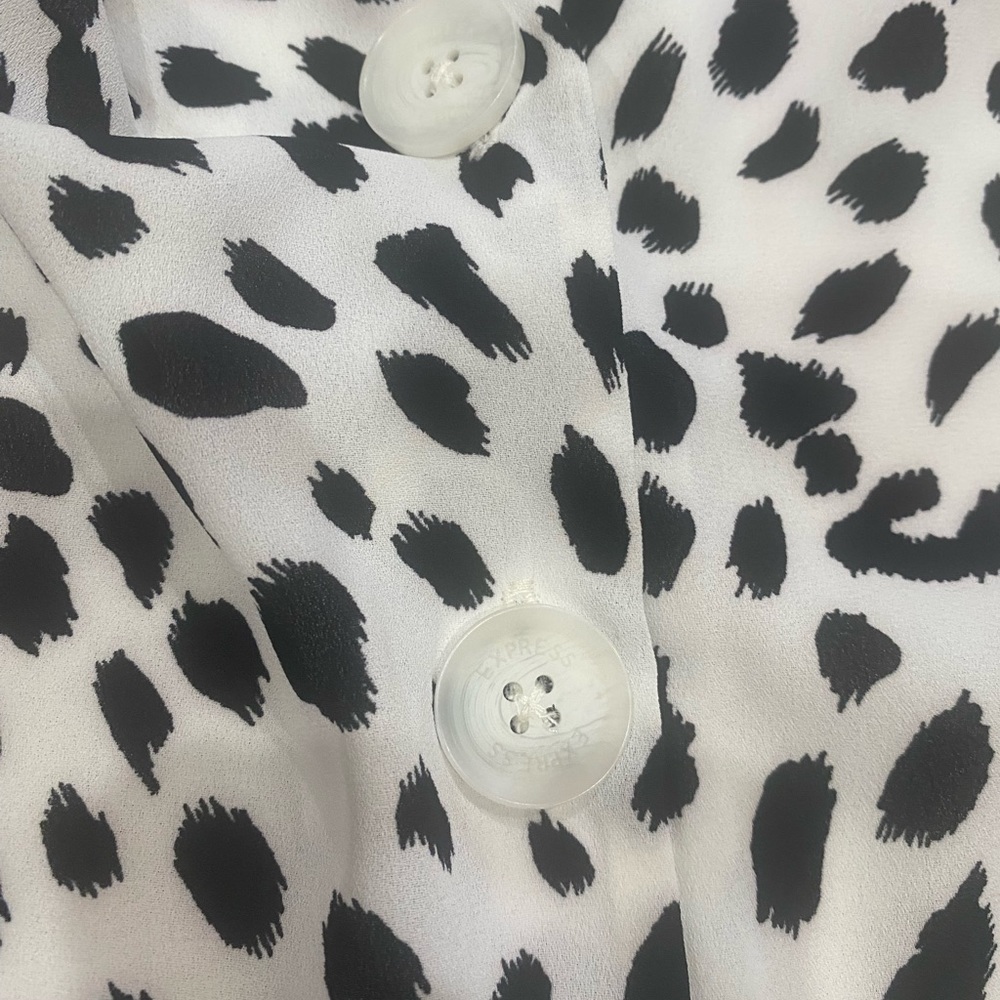 Express. Small - Picture 2 of 10